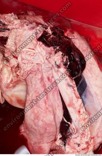 RAW meat pork viscera 0045